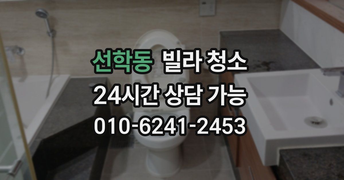 선학동 빌라 청소