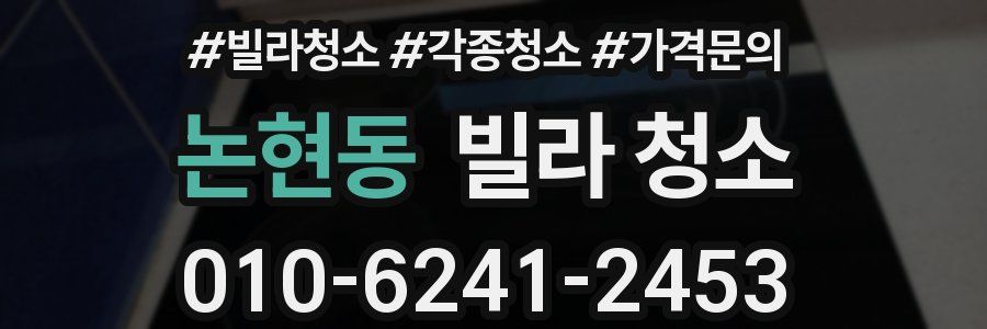 논현동 빌라 청소