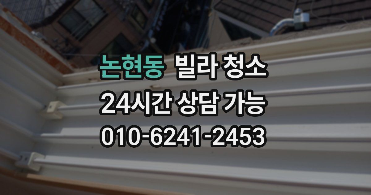 논현동 빌라 청소