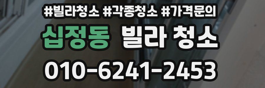 십정동 빌라 청소