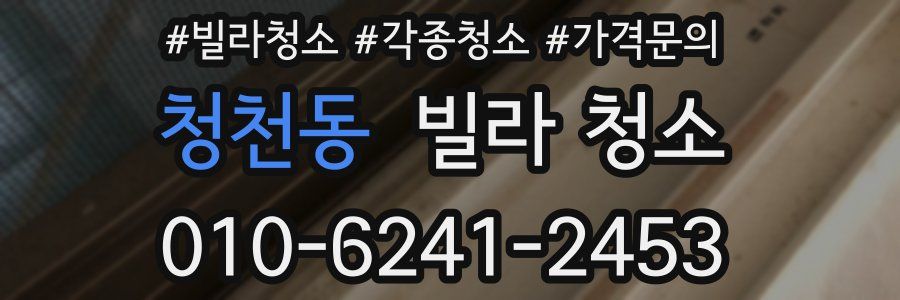 청천동 빌라 청소