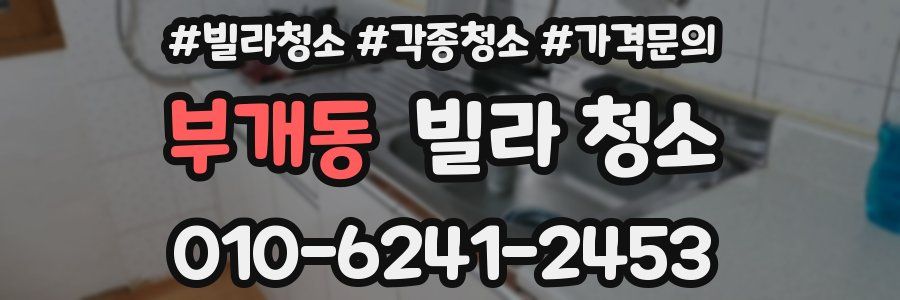 부개동 빌라 청소