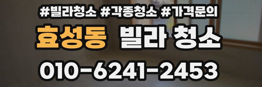 효성동 빌라 청소