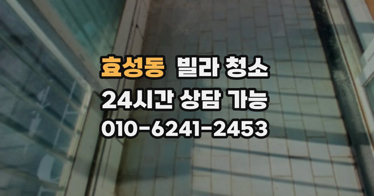 효성동 빌라 청소