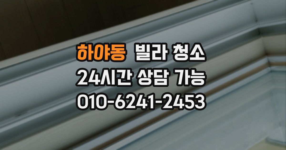 하야동 빌라 청소