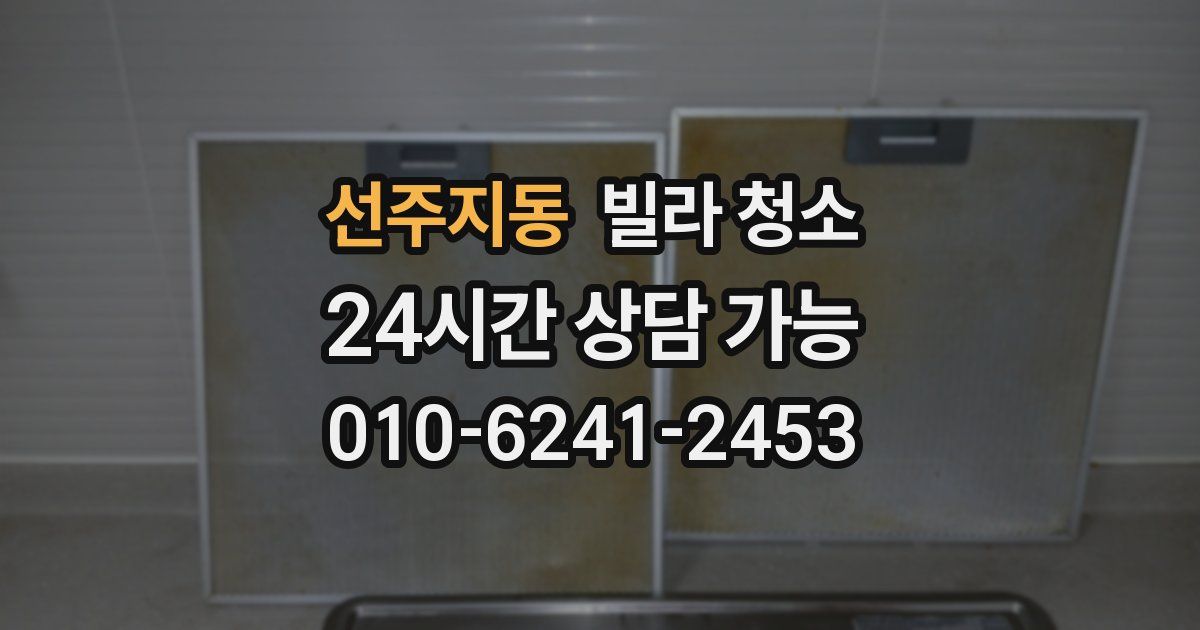 선주지동 빌라 청소