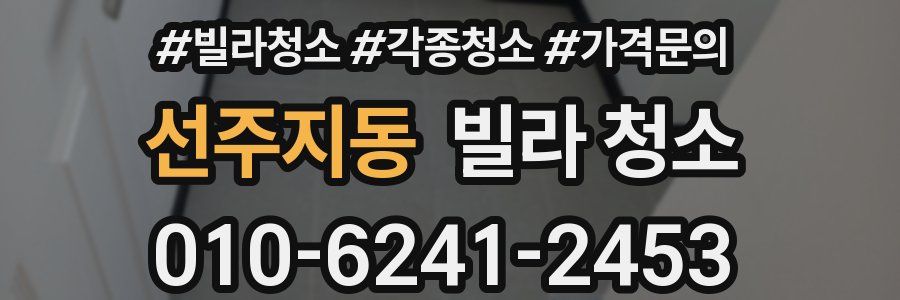 선주지동 빌라 청소