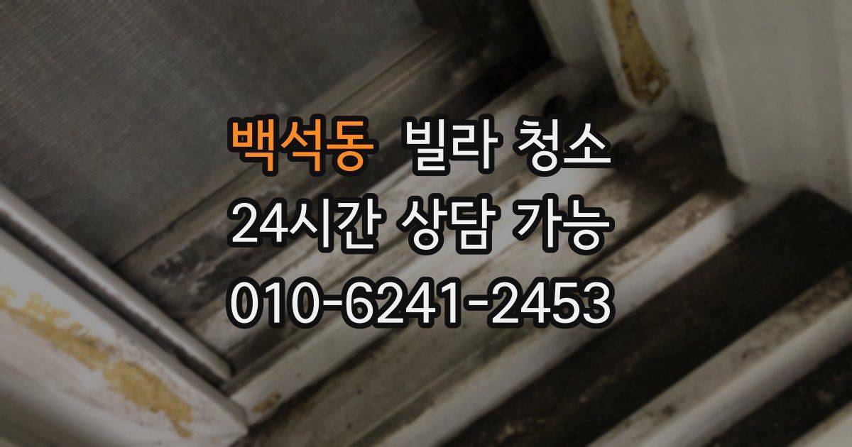 백석동 빌라 청소