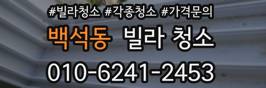 백석동 빌라 청소