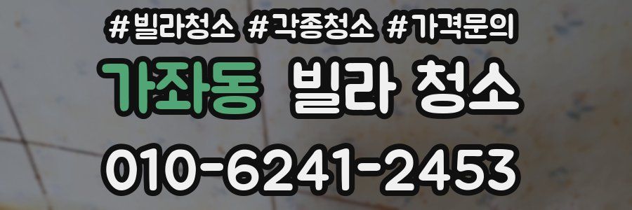 가좌동 빌라 청소