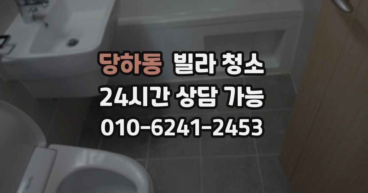 당하동 빌라 청소