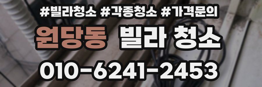 원당동 빌라 청소