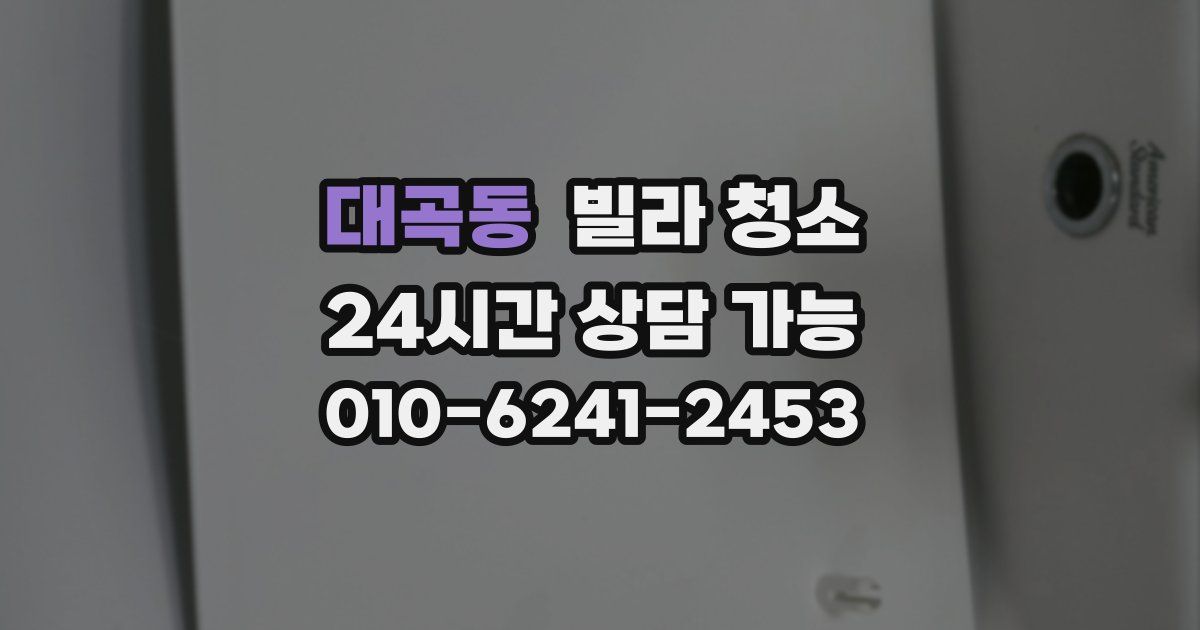 대곡동 빌라 청소