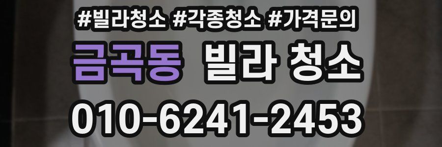 금곡동 빌라 청소