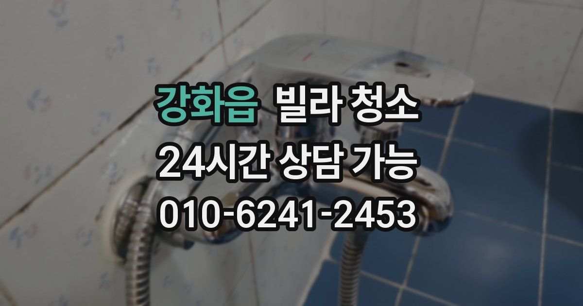 강화읍 빌라 청소