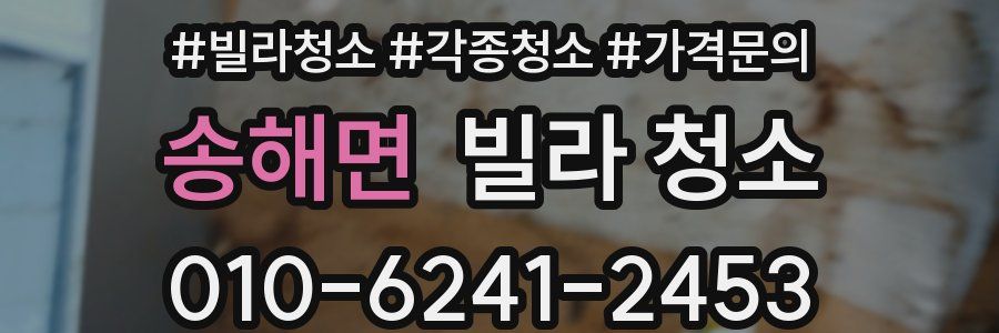 송해면 빌라 청소