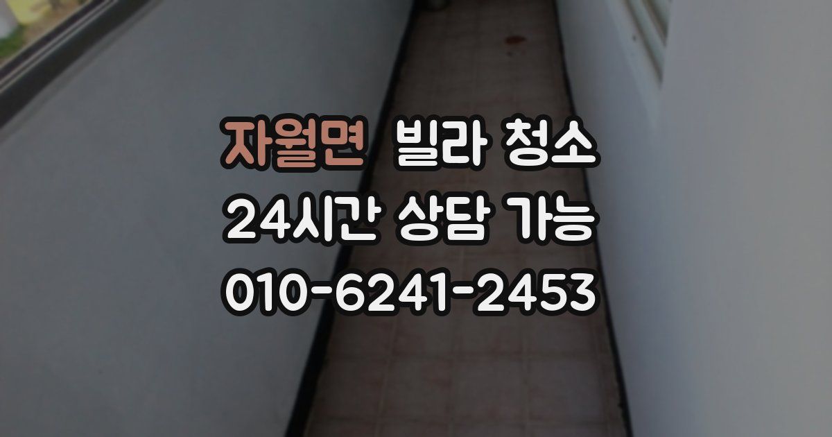 자월면 빌라 청소