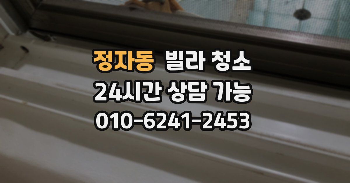 정자동 빌라 청소