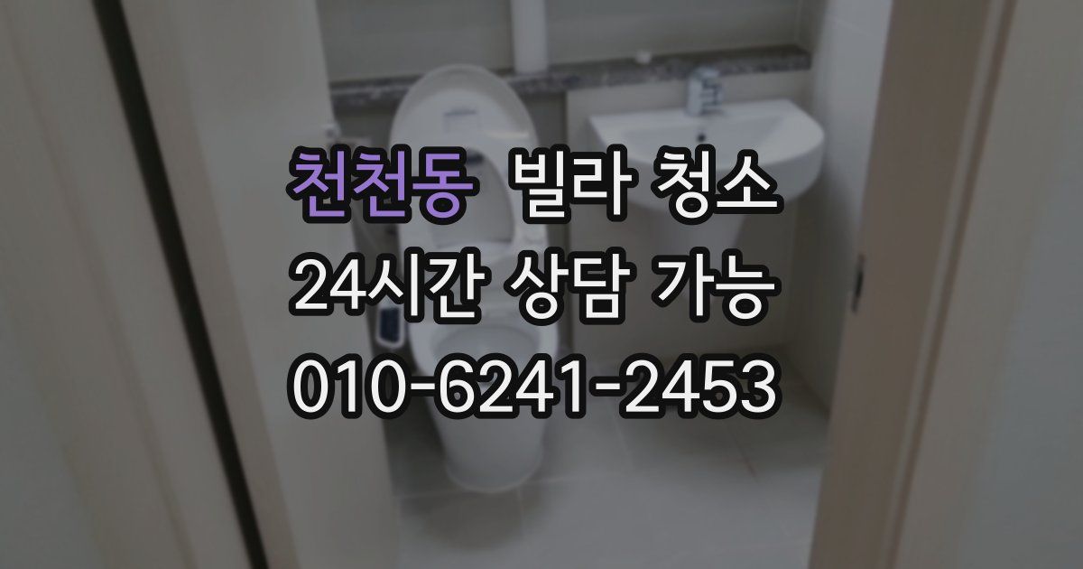 천천동 빌라 청소