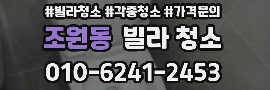 조원동 빌라 청소