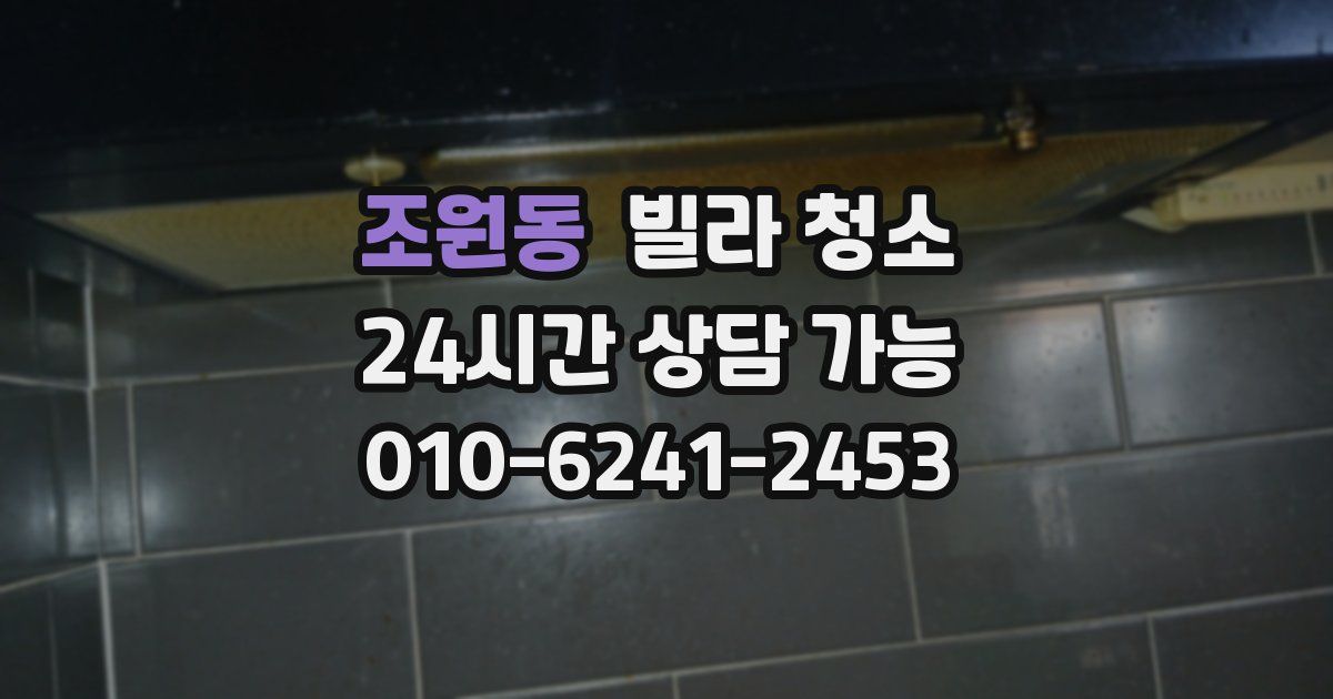 조원동 빌라 청소