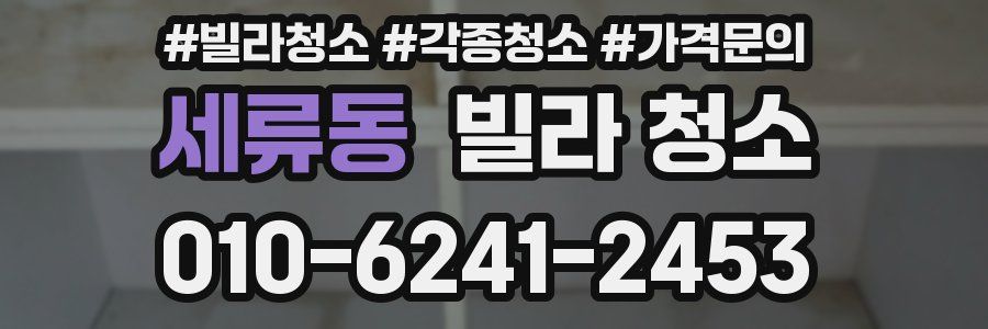 세류동 빌라 청소