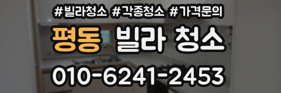 평동 빌라 청소