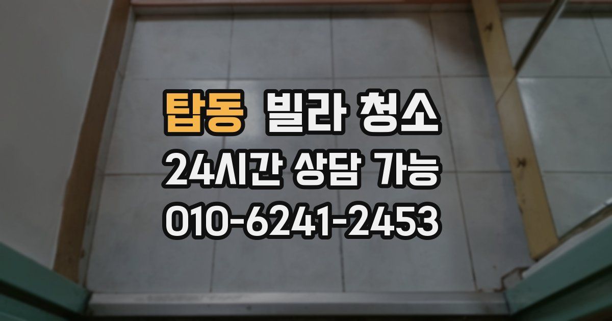 탑동 빌라 청소