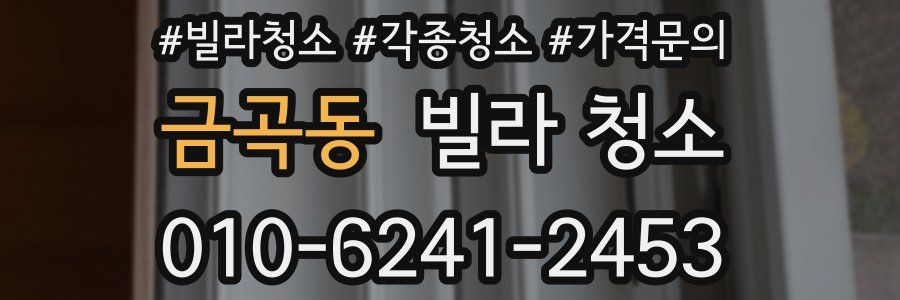 금곡동 빌라 청소