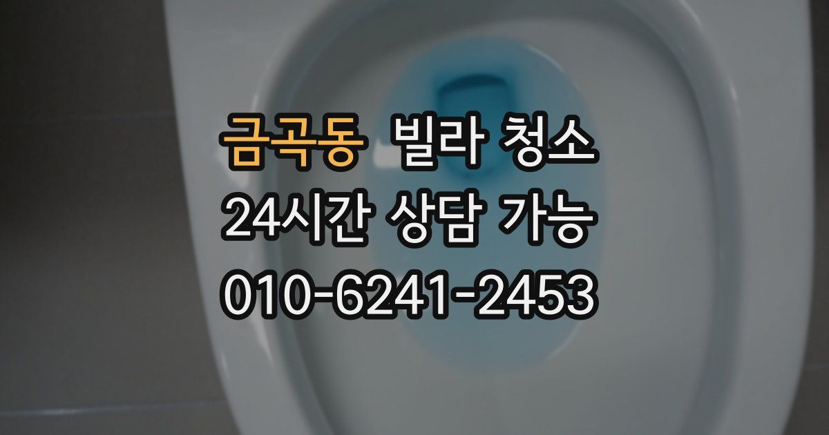 금곡동 빌라 청소