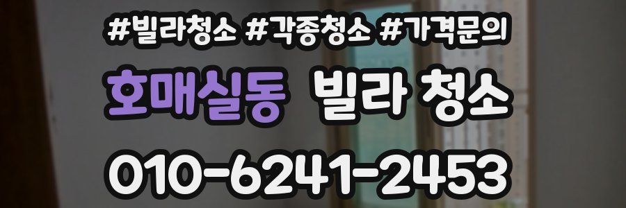 호매실동 빌라 청소