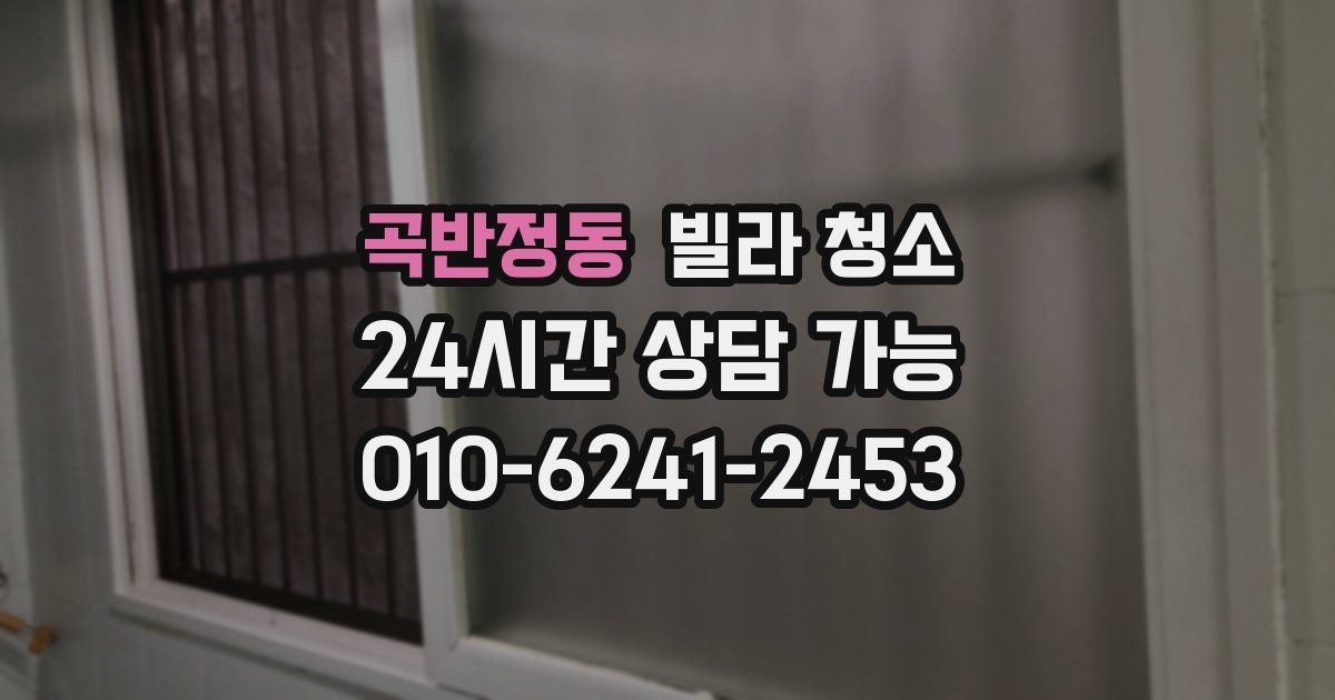 곡반정동 빌라 청소