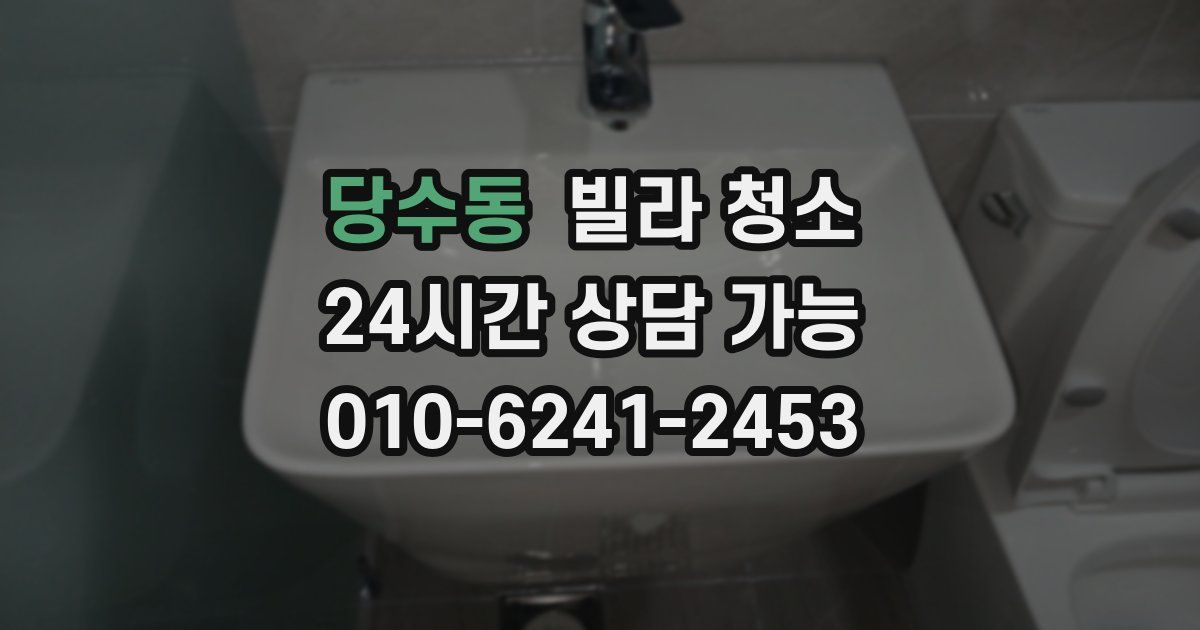당수동 빌라 청소