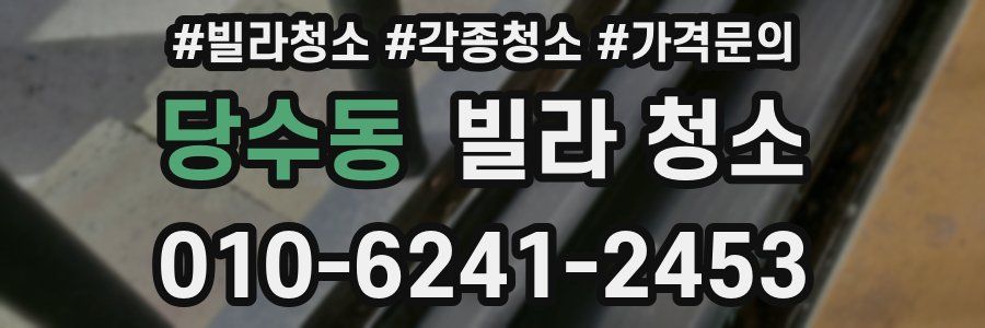 당수동 빌라 청소