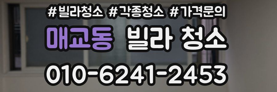 매교동 빌라 청소