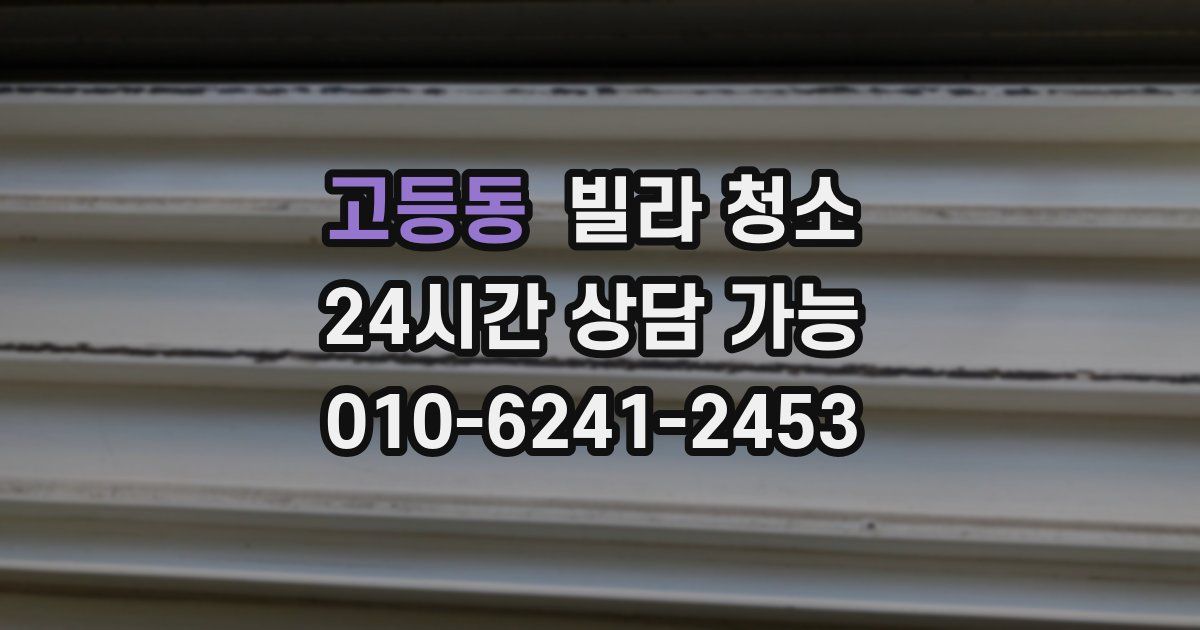 고등동 빌라 청소