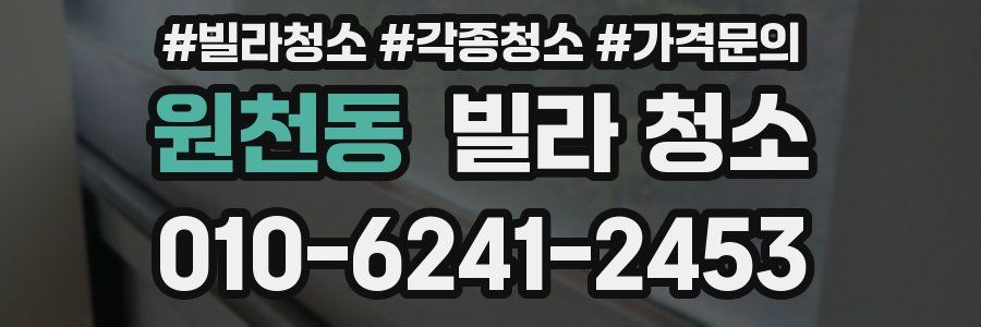 원천동 빌라 청소