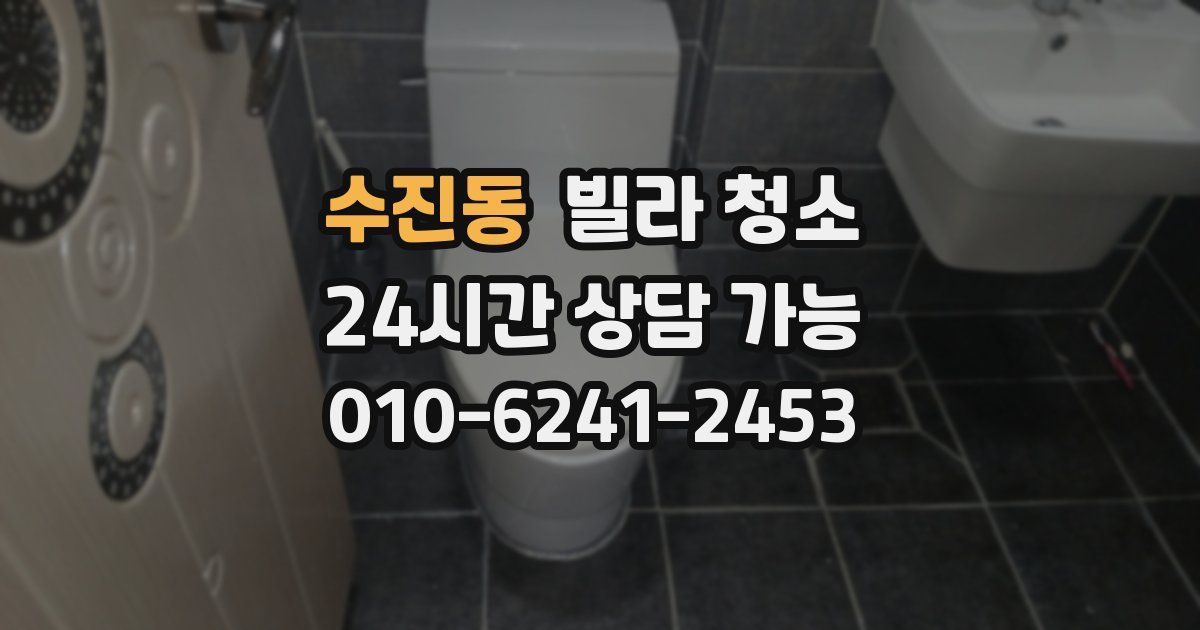 수진동 빌라 청소