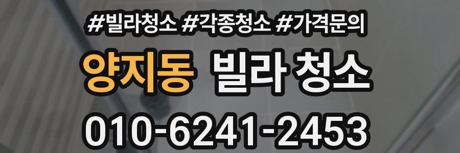 양지동 빌라 청소