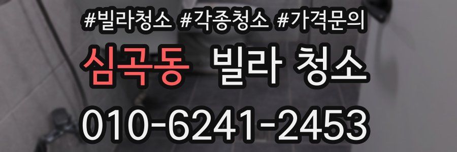 심곡동 빌라 청소