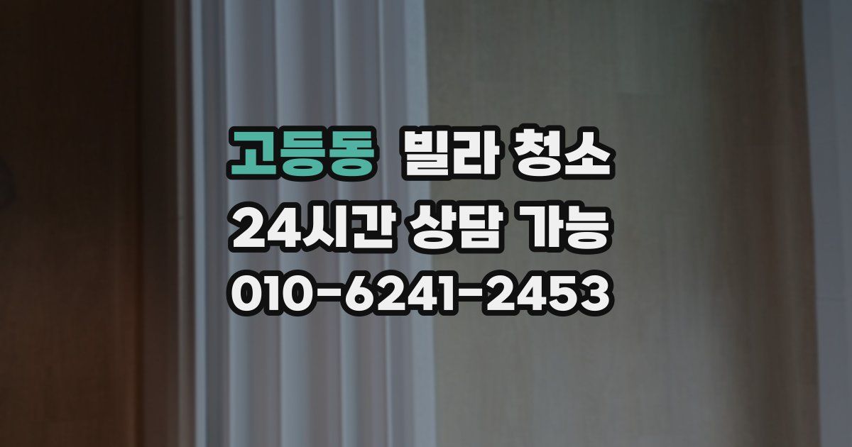 고등동 빌라 청소