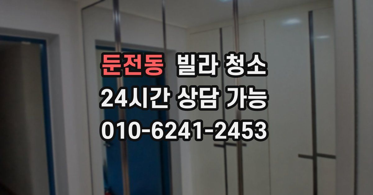 둔전동 빌라 청소