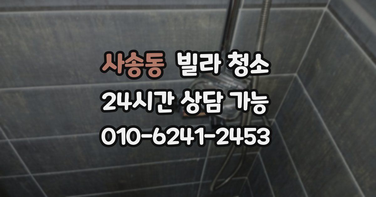 사송동 빌라 청소