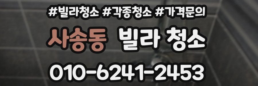 사송동 빌라 청소