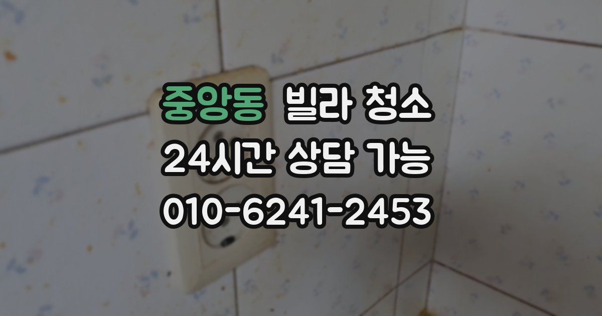 중앙동 빌라 청소