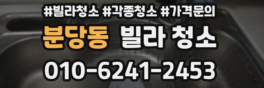 분당동 빌라 청소