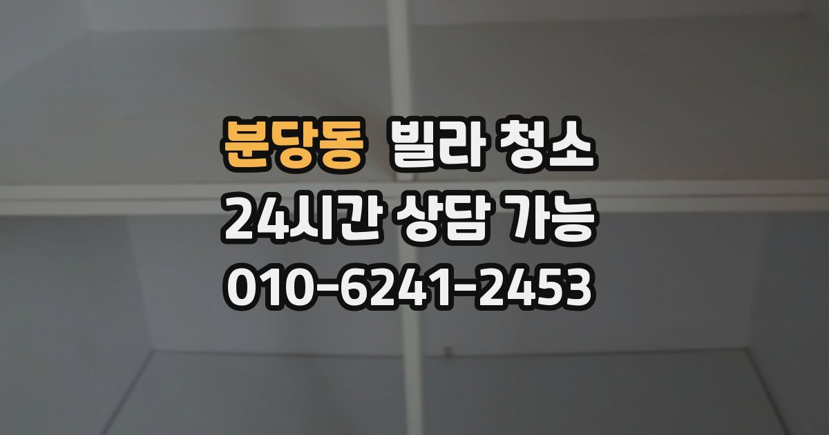 분당동 빌라 청소