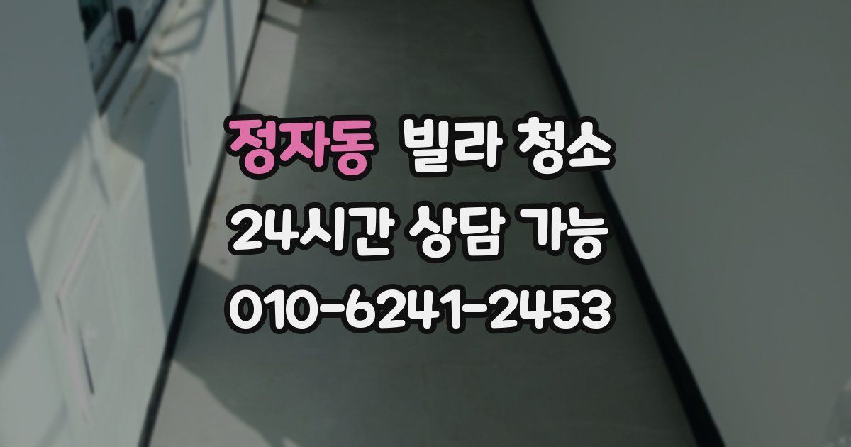 정자동 빌라 청소