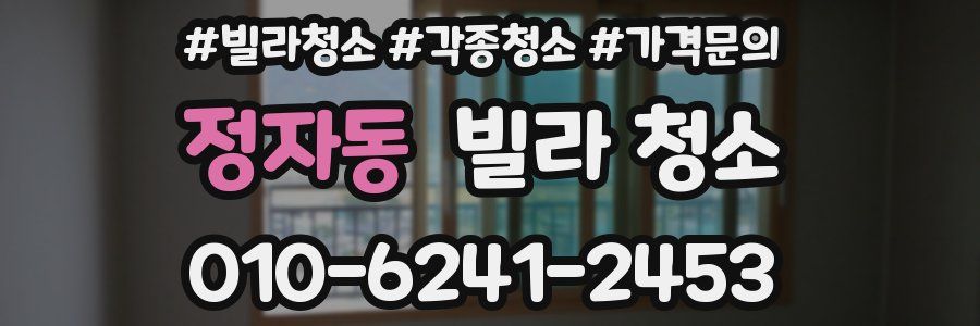 정자동 빌라 청소