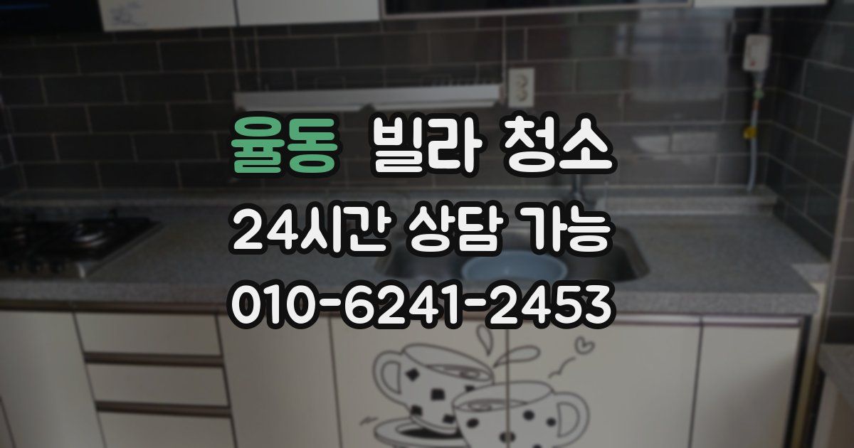 율동 빌라 청소